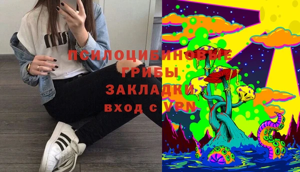 а пвп мука Абаза