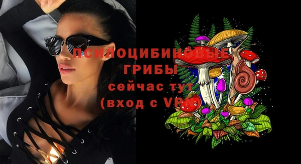 а пвп мука Абаза