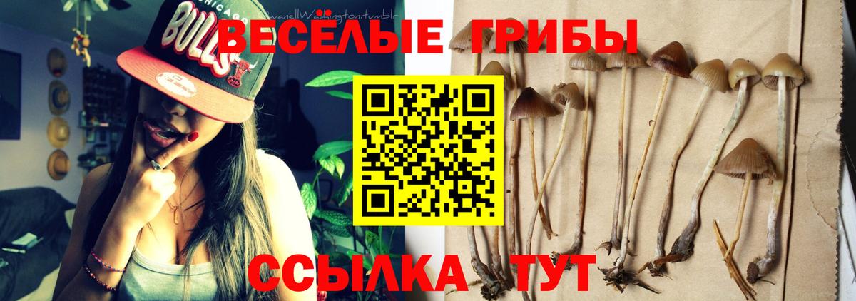 Галлюциногенные грибы мухоморы  Вход с VPN  Избербаш 